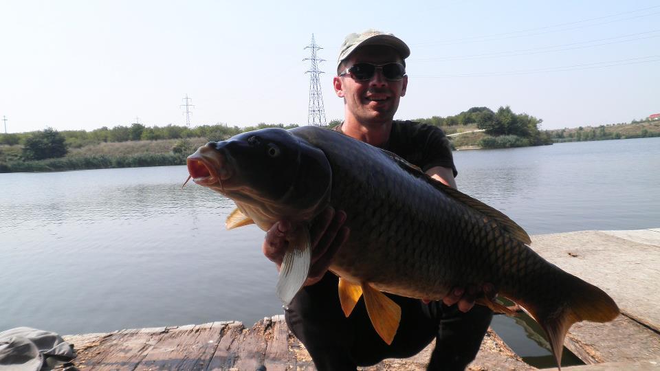 tancabesti - 2013460789913968815535258113n.jpg